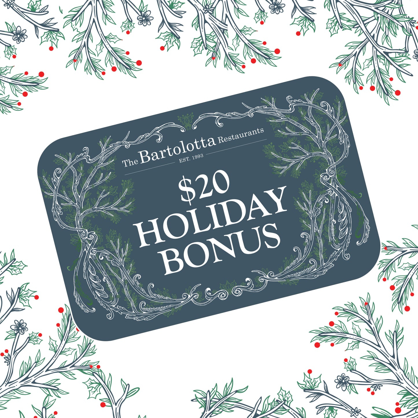 $20 Holiday Bonus (sent to purchaser)